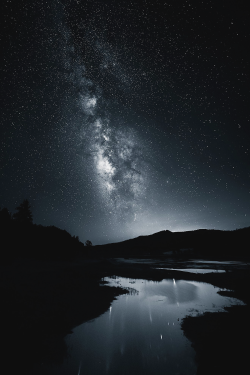 vxpo:  Life Found In Monochrome by Michael Shainblum | Vanity-Exposition