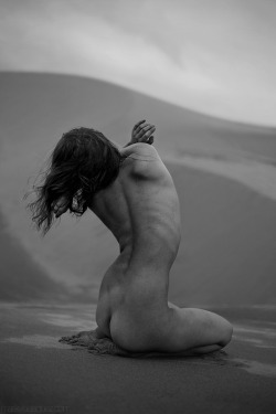 “Forest on the Dunes,” 2015Find this full uncensored photo