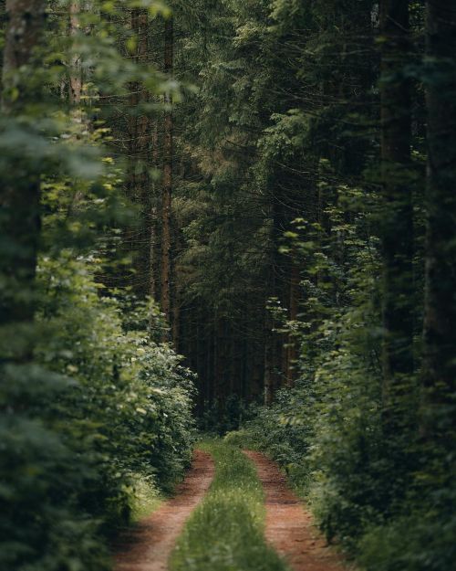 wistfullycountry:Michael Kagerer 