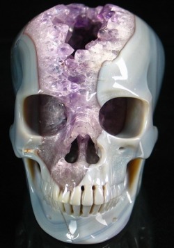 fuckyeahpaganism:  geode skull (source) 