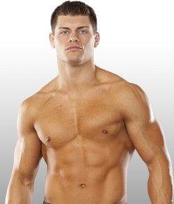 rwfan11:  Cody Rhodes ….all I can say is ….YUM! 