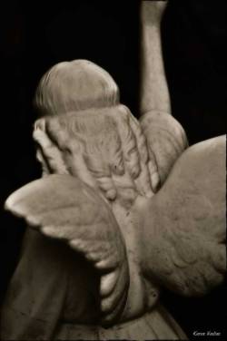 unforgottenones:  Under the wings of an angel Where my weary