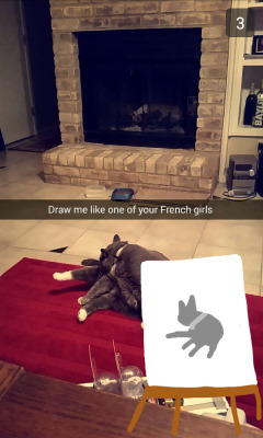 heichou-espurr:  My friend just sent this snapchat and I can