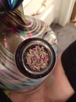 radagast-the-dank:  Prettiest wake and bake