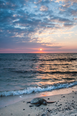 0rient-express: hawaii big ilsand landscapes | by Matt Green.