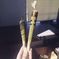 high-on-etsy:all-tokes-no-chokes:  Doobies And Boobies   Don’t