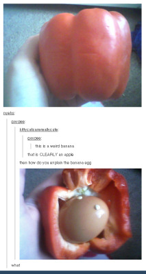 weebieeneko:  lucifers-ass-cheek:posts that are only funny because