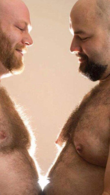 bear-gays:  Hairy big boys anal fingering on webcam JOIN Free