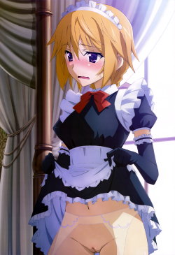 ecchi-ban:  Charlotte Dunois Artist: 라이시안 