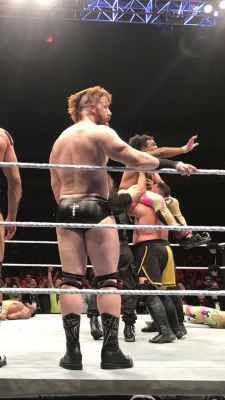 deidrelovessheamus:  Poor Sheamy had a bad hawk night at #WWEDortmund.