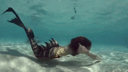 suchbeautyandyetdeadly:  mermaidmargo:  See Through Sea Mermaid