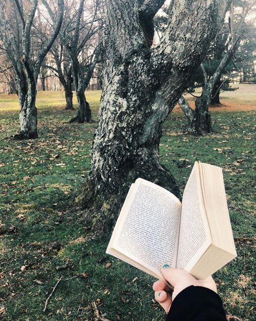 whilereadingandwalking:  Gnarly trees and big books.