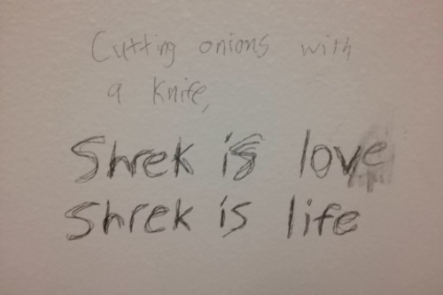 evanisntanything:  Thank you, college bathroom graffiti. 