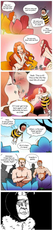 gay-irl:Bi🐝irl