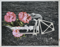 collagesdeblesia:  278. Romance