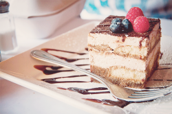 chickabiddy:  Tiramisu (by Alexis Fam Photography) 