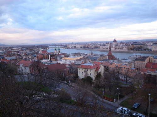 breathtakingdestinations:Budapest - Hungary (by Matthias Ripp) 