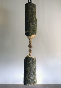 thedesigndome: Artist Carves Wooden Rope Sculpture From a Tree