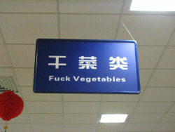 deepfriedtwinkie:  archatlas:  Chinese Translation Fails  I wasn’t