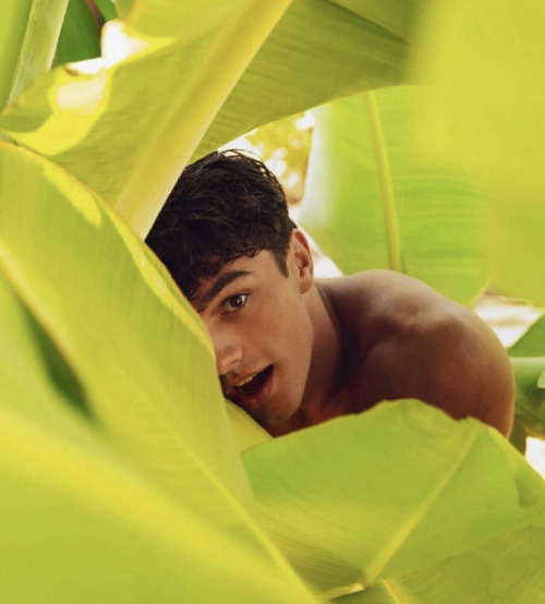 flymaniup:  Francesco Ruggiero