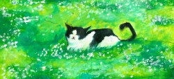 onespecificsnake: amandamcgoober: I paint my kitty🐈  