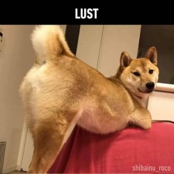 good-dog-girls:  LUST