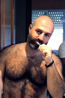 biversbear-free-gay-bear-porn:  New video - from Gym to bedroom-