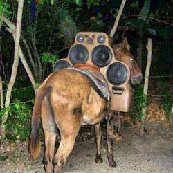 A real mobile sound system! #ass #music #creative #instaphoto