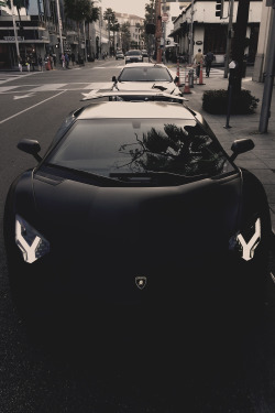 envyavenue:  Batventador | Photographer