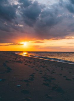nichvlas:  (by Hreilly)