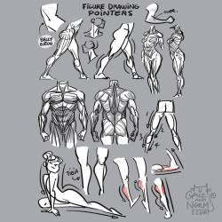 grizandnorm:  Tuesday Tips - Figure Drawing Pointers A few things