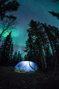 mikeyhuff:  Camping in the Arctic Circle.