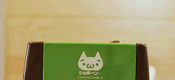 ryeou:  顔文字 ぬこ トースト ☆ kaomoji cat toast