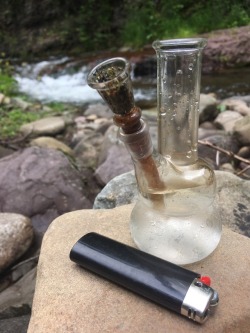 mxatomicbomb:  I took Baby Bong for a walk in the woods today