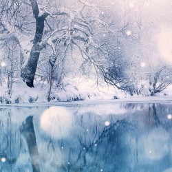 chasaroney:  #Snow adds a certain beauty to nature. I love this