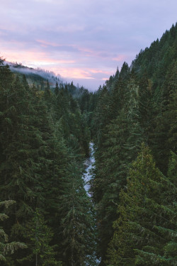 spudthesoundguy:  Sunrise at Mount Rainer National Park    Instagram