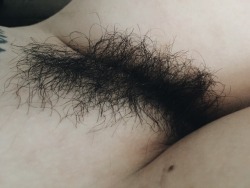 camdamage:  My pubes need a trim but also they are.. so majestic.