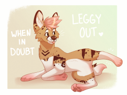 floofykitkat:WHEN IN DOUBT, LEGGY OUT x3