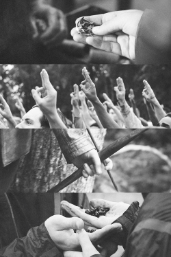 libroscomoformadevida:  The hunger games.