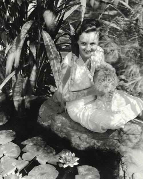 Mary Astor Nudes & Noises  