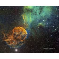 Sharpless 249 and the Jellyfish Nebula #nasa #apod #jellyfish