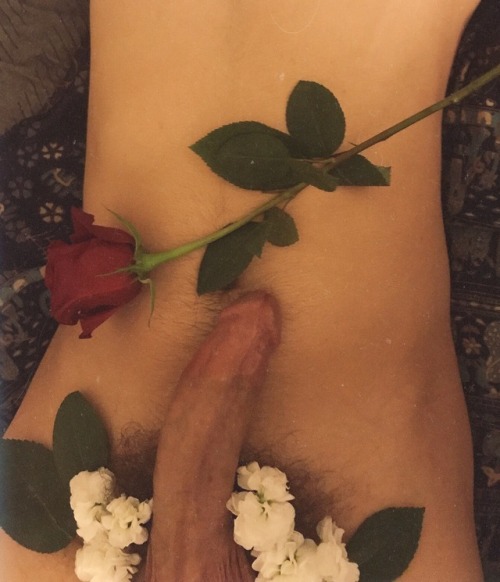 hazeyjane-ii:Some plant nudes of me and my boyfriend bc @porn4ladies always has cute ones & ive never posted mine