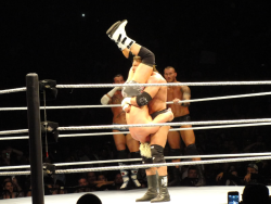 rwfan11:  ….when have you ever known HHH to use the piledriver