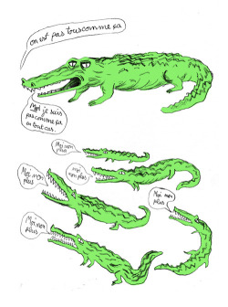 projet-nice-guy:  http://projetcrocodiles.tumblr.com/