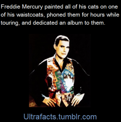 unicornempire:  the-darkest-abyss:  ultrafacts:  Freddie Mercury