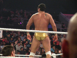 rwfan11:  Alberto Del Rio  Golden but cheeks!