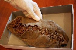 historyarchaeologyartefacts:A 5,500-year-old moccasin shoe found