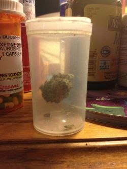 ja1lb1rd:  You know it’s good shit when the weed itself is
