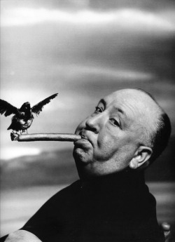 historicaltimes:  Director Alfred Hitchcock, during the filming