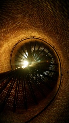 laurenthecaptain:  Spiral stairs. FL